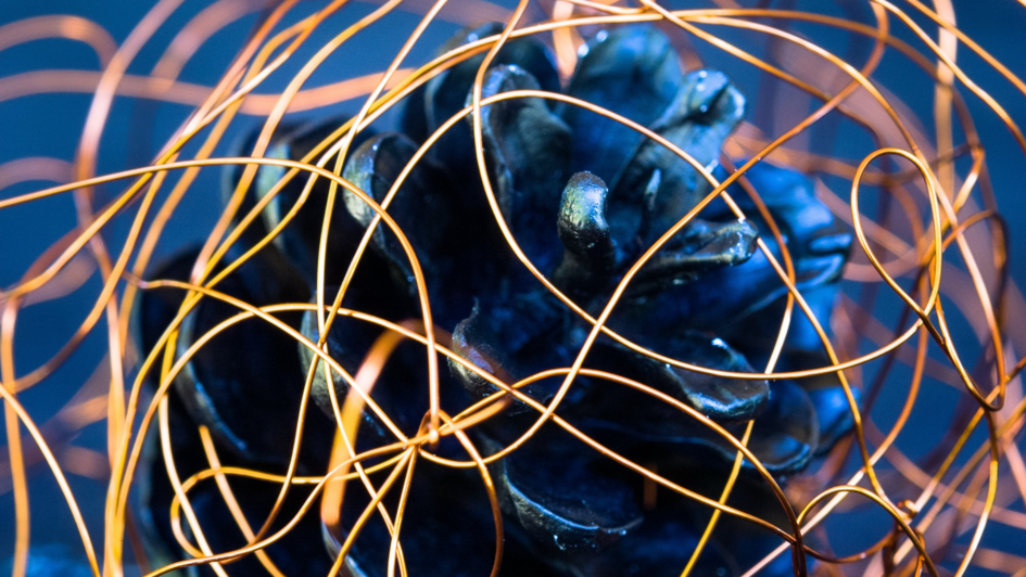 Blau lackierter Tannenzapfen mit goldenem Drahtgeflecht Blau lackierter Tannenzapfen mit goldenem Drahtgeflecht