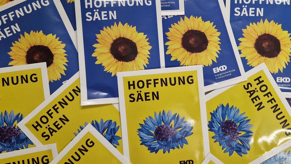 #hoffnungsäen – Samentüten für Sonnenblumen und Kornblumen