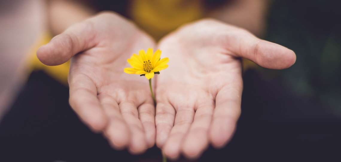 Frau hält eine Blume zwischen ihren Händen