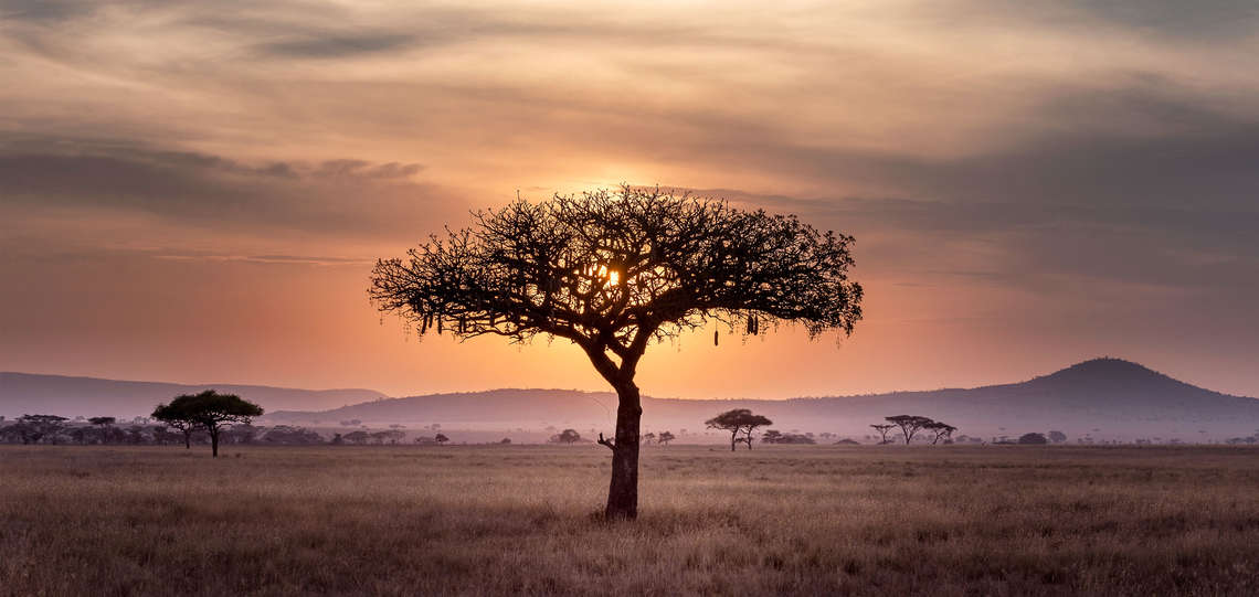 Symbolbild für den Kontinent Afrika Symbolbild für den Kontinent Afrika