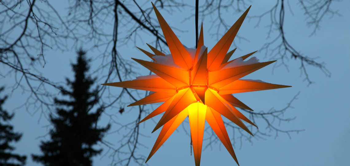Ein leuchtender Herrnhuter Stern in einem Baum
