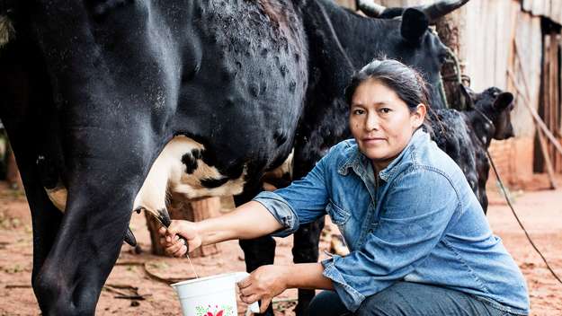 Bäuerin Petrona Martínez melkt ihre eigene Kuh.