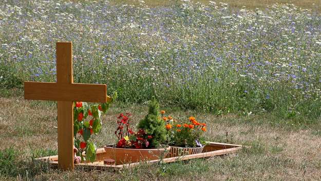 Ein Grab umgeben von einer Blumenwiese