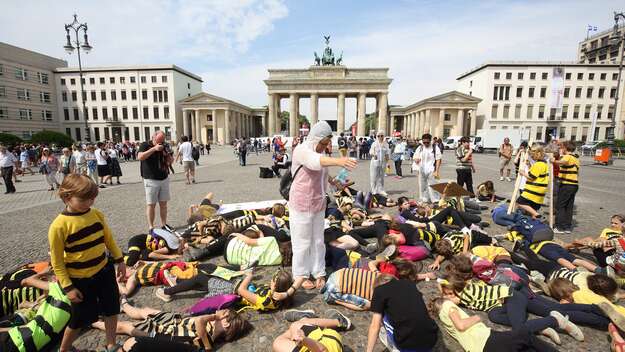 Schülerdemo gegen Bienensterben