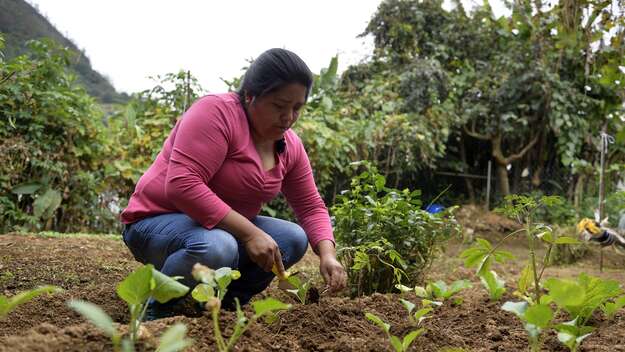 Elsa Orozco in ihrem Obst- und Gemüsegarten