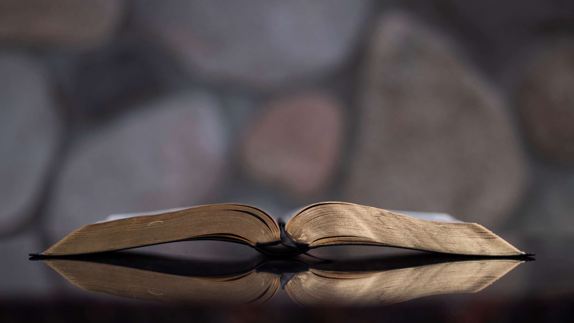 Symbolbild: Eine aufgeschlagene Bibel mit Goldschnitt