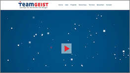 Screenshot TeamGeist